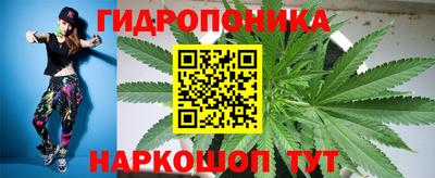 прущие грибы Туймазы