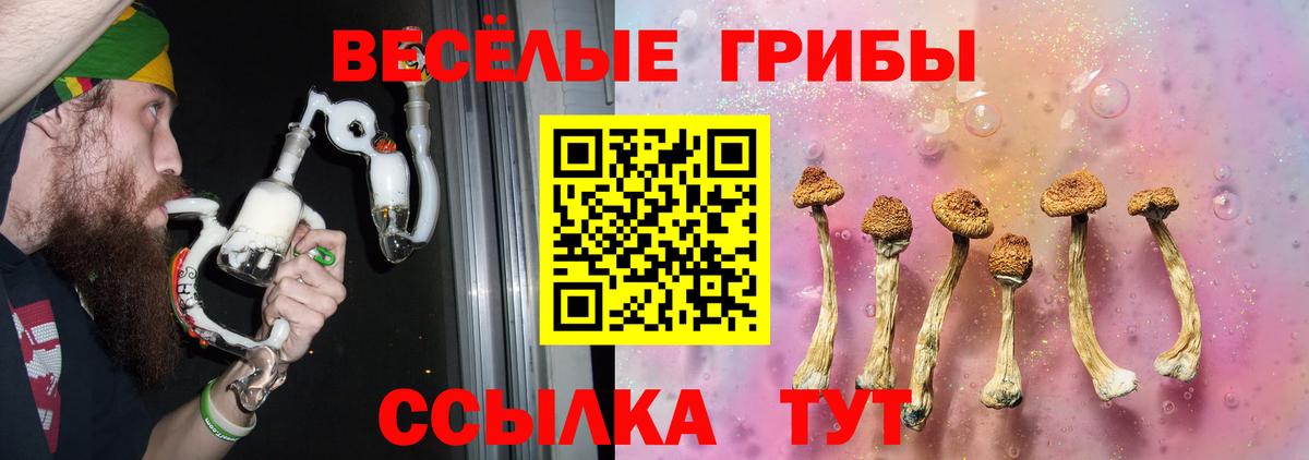 Галлюциногенные грибы мицелий Рославль